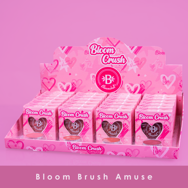BLUSH HIGHLIGHT